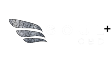 soulpluscbd.com